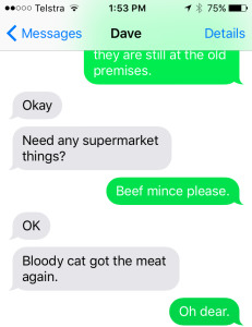 kitten meat